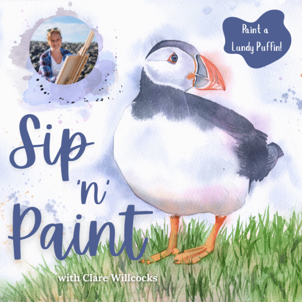 Johns of Instow evening workshop. Sip 'n' paint with local artist Clare Willcocks. Painting a Lundy Puffin