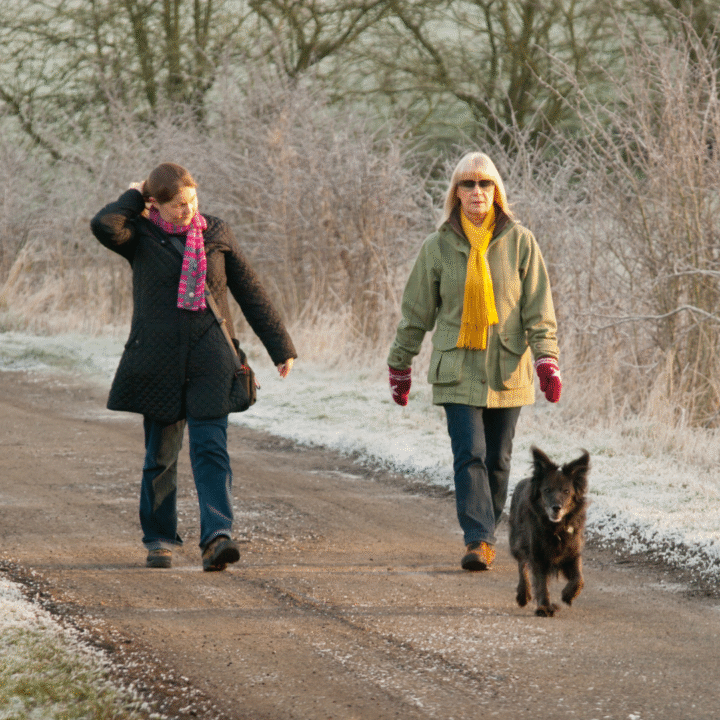 Explore the Tarka Trail from Instow