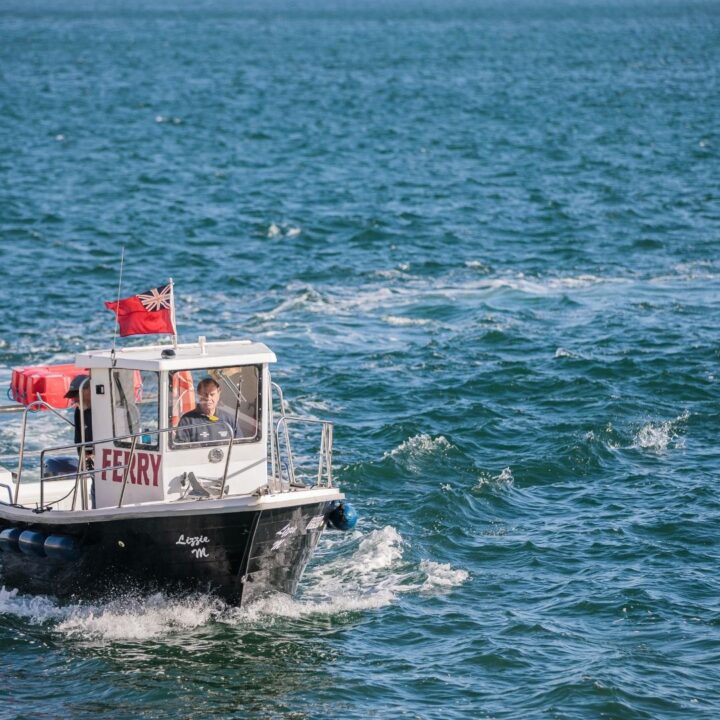 Appledore Instow Ferry