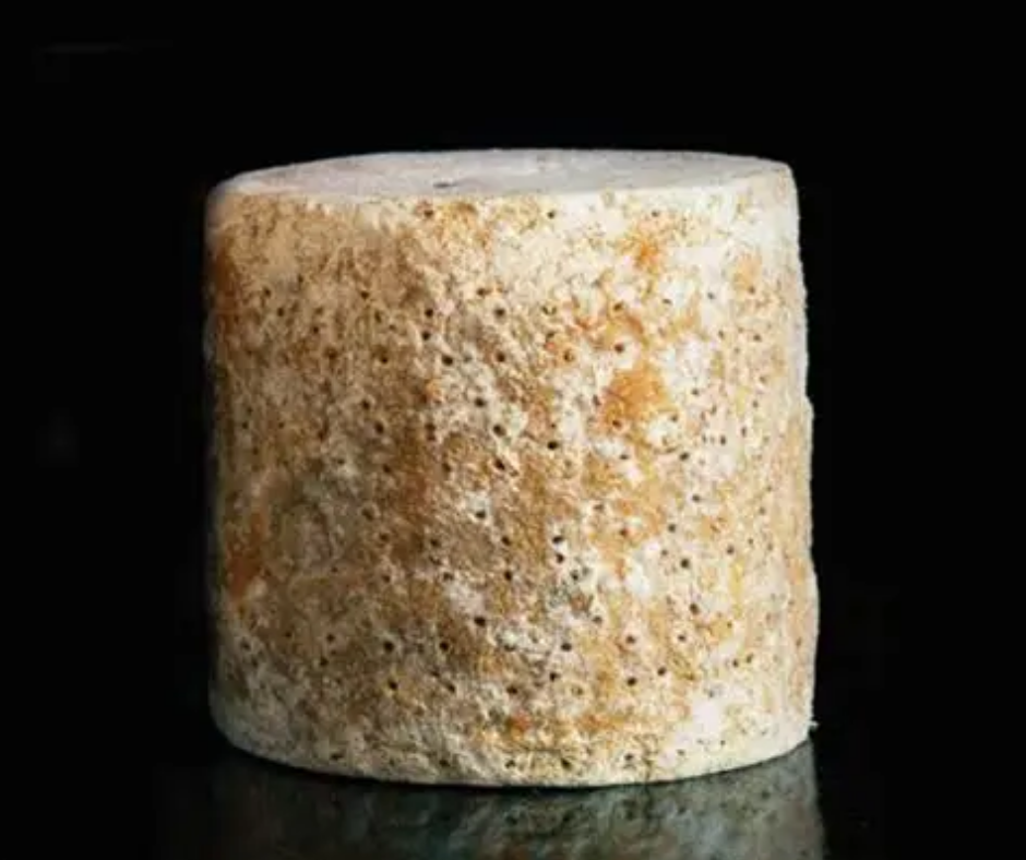 Baby Stilton Round