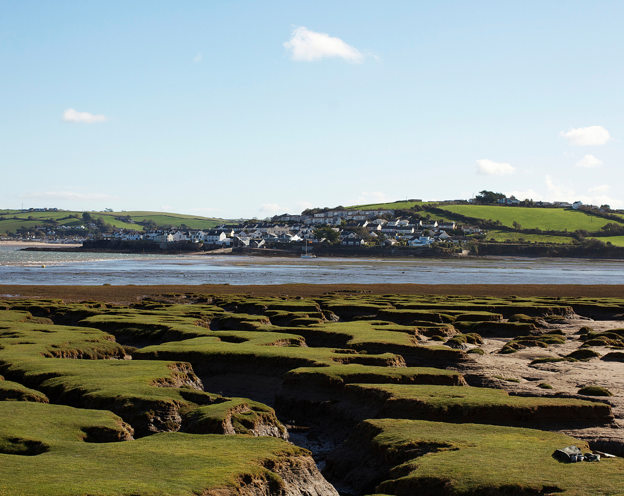 Appledore from Greysands