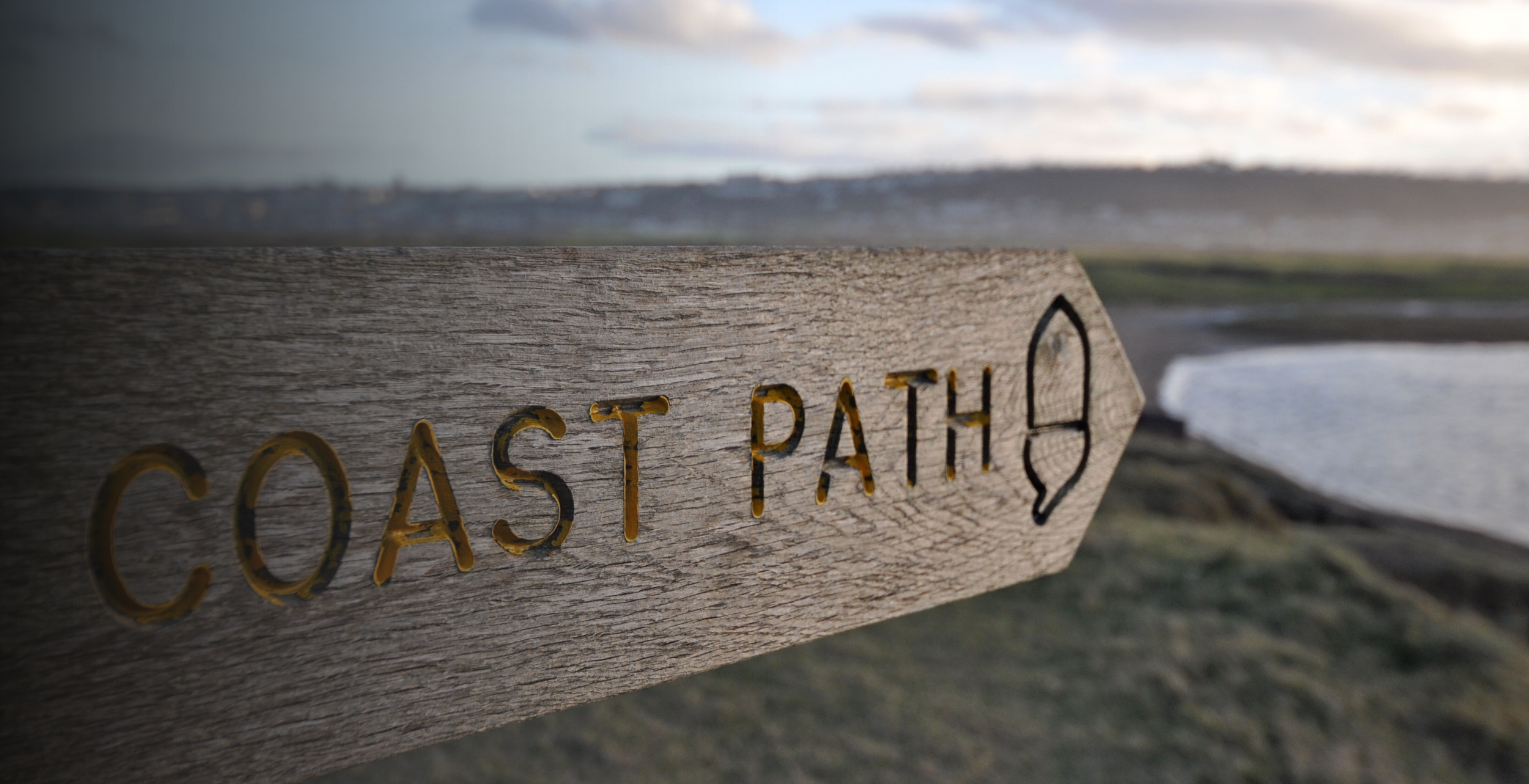 Appledore coast path
